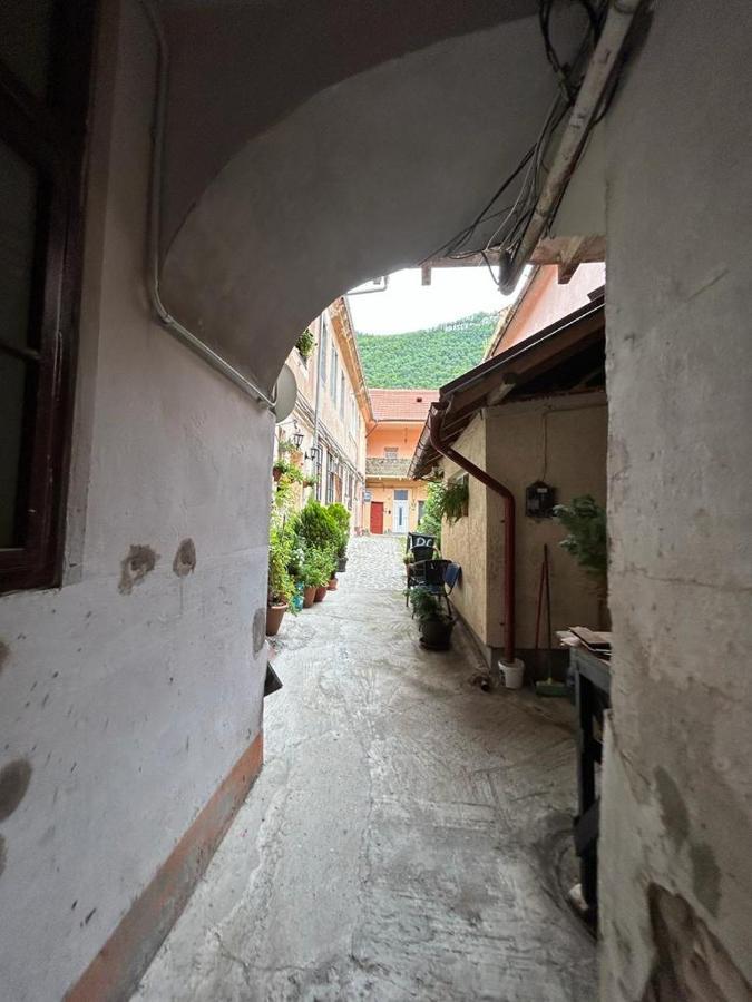 Guest House Rusu Brașov Exterior foto